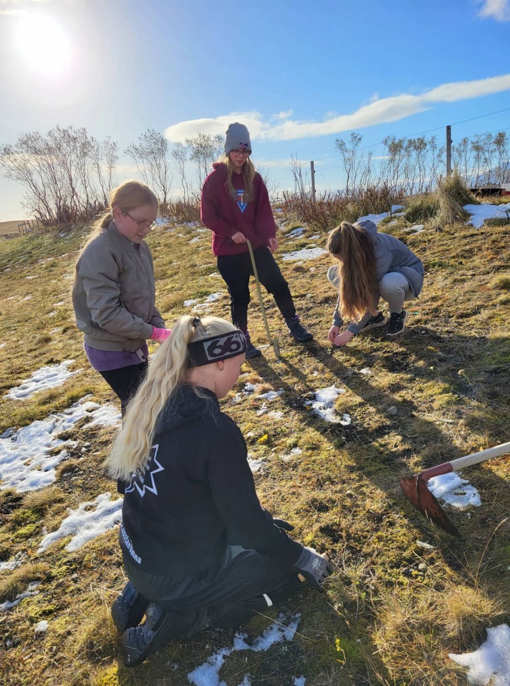 Gróðursetning - Yrkja