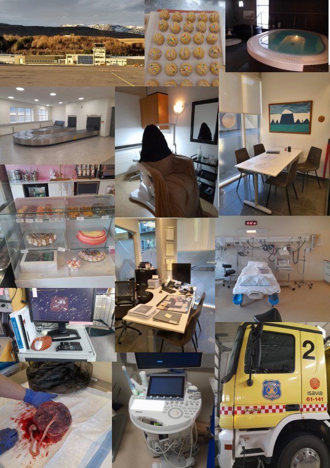 Starfskynningar 10. bekkinga 4.-6. nóvember