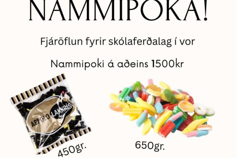 Nóg um að vera hjá nemendafélaginu, fjáraflanir og fjör