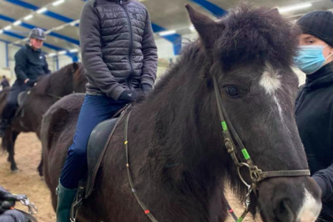 Hestadagar á Hólum